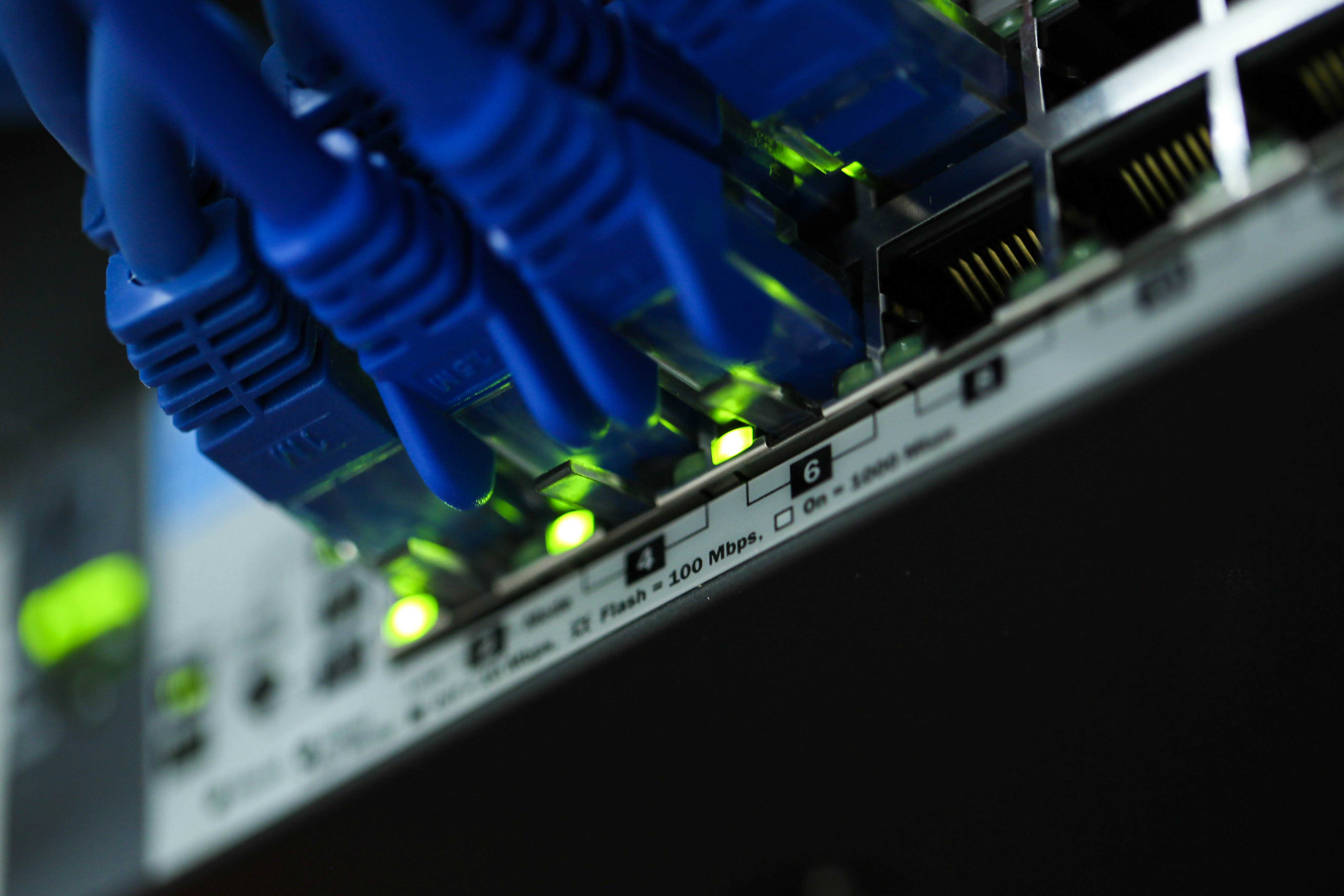 Close-up foto van een aantal blauwgekleurde ethernetkabels in een switch